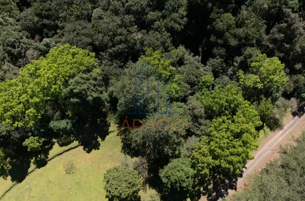 Terreno para venda,  Centro, São Bento Do Sul - Foto 13