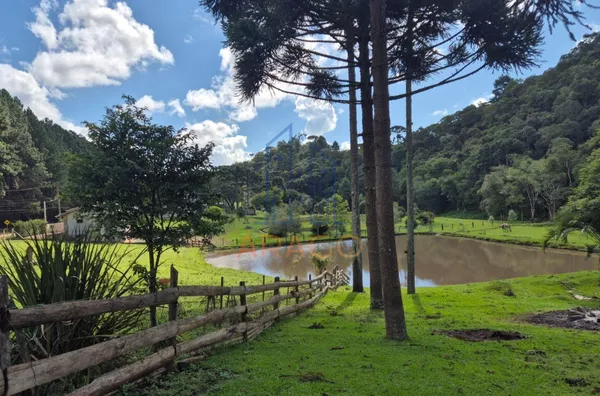 Chácara para venda,  Alegre, Rio Negrinho