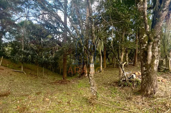Terreno para venda,  Doce Grande, Quitandinha