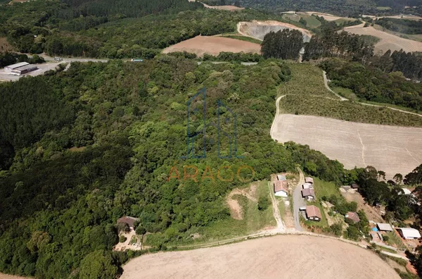 Terreno para venda,  Fragosos, Campo Alegre
