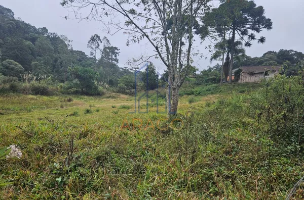 Terreno para venda,  Serra Alta, São Bento Do Sul