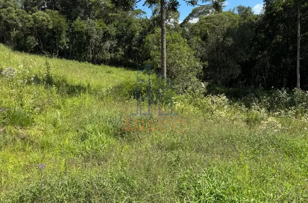 Chácara para venda,  - Palmitos, Agudos do Sul