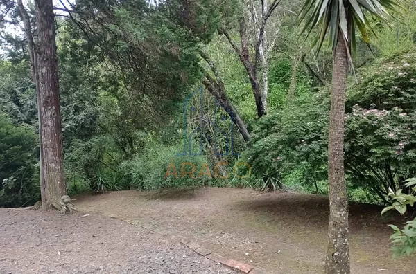 Chacará para venda, 2 quarto(s),  Cruzeiro, São Bento Do Sul