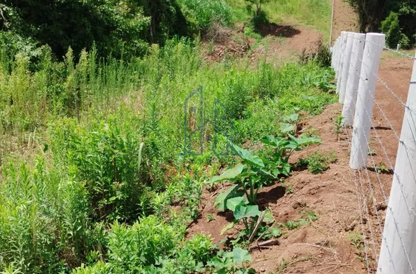 Ótimo Terreno para Chácara,  Dona Francisca, São Bento Do Sul