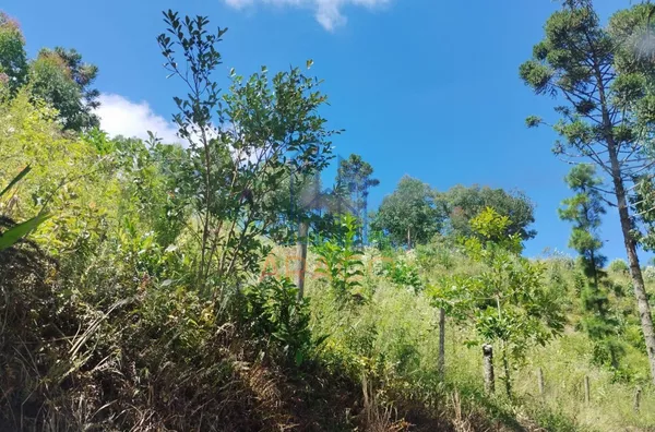 Terreno EXCELENTE PARA CHÁCARA - venda,  Serra Alta, São Bento Do Sul