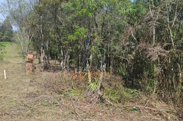 Terreno para venda,  Trigolândia, Piên