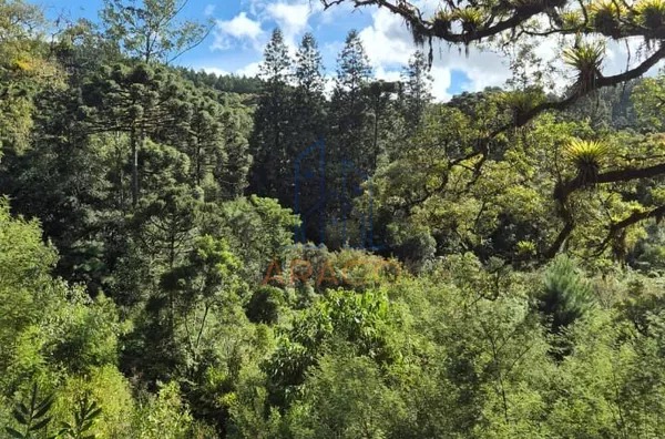 Terreno para venda,  Rio Natal, São Bento Do Sul