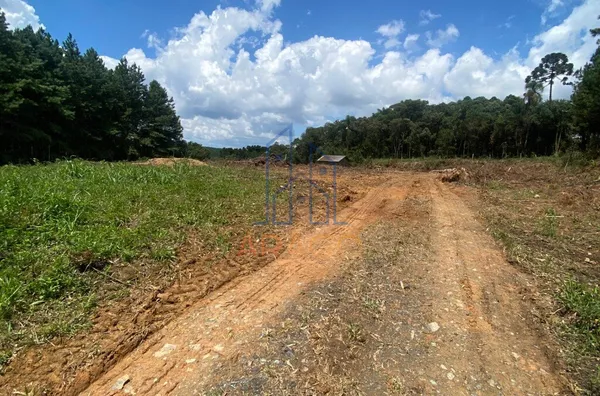 Terreno para venda,  Serra Alta, São Bento Do Sul