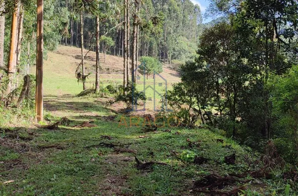 Terreno para venda,  25 De Julho, São Bento Do Sul