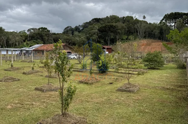 Chácara para venda, Trigolândia, Piên 