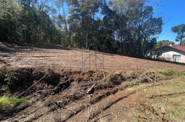 Terreno para ,  Dona Francisca, São Bento Do Sul