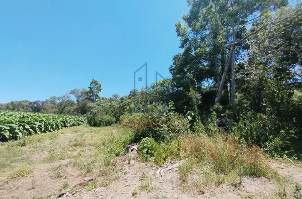 Terreno para Chácara (20 mil mt²) - Campo Novo, Piên-PR