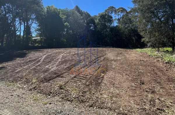Terreno para venda,  Dona Francisca, São Bento Do Sul