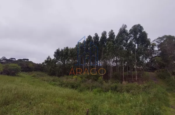 Terreno para venda,  Rio Vermelho Povoado, São Bento Do Sul