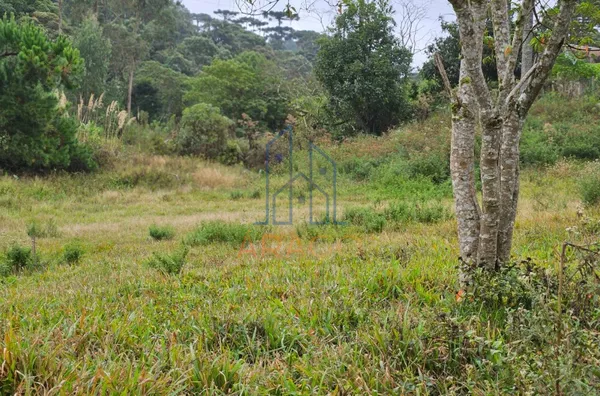 Terreno para venda,  Serra Alta, São Bento Do Sul
