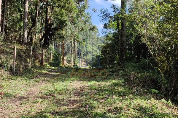 Terreno para venda,  25 De Julho, São Bento Do Sul