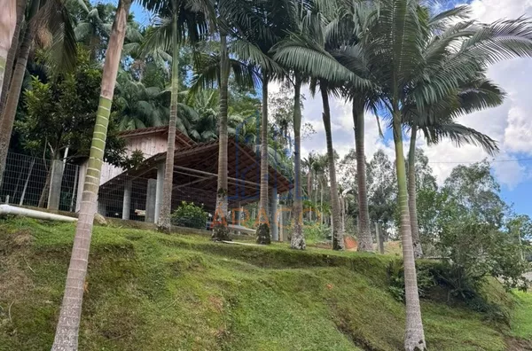 Chácara para venda, 3 quarto(s),  Sertãozinho, São Bento Do Sul