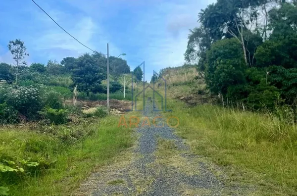 Terreno para venda,  Boehmerwald, São Bento Do Sul