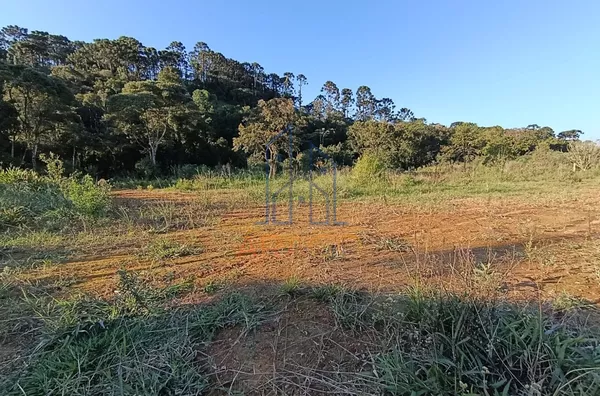 Terreno para venda,  Serra Alta, São Bento Do Sul