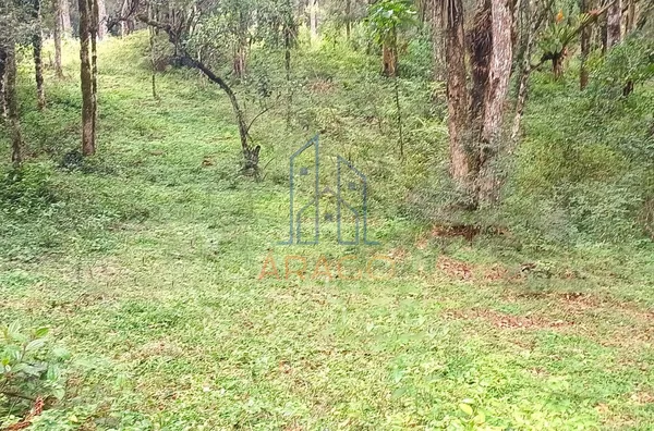 Terreno para venda,  Corredeiras, Campo Alegre