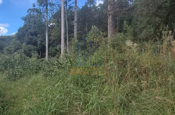 Terreno para venda,  Rio Natal, São Bento Do Sul