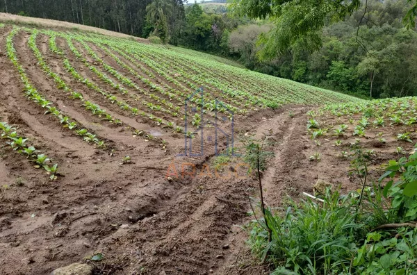 Terreno para venda,  água Clara De Baixo, Quitandinha