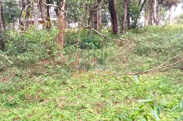 Terreno para venda,  Corredeiras, Campo Alegre