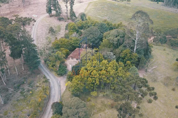Chácara para venda,  Vila Pilz, São Bento Do Sul