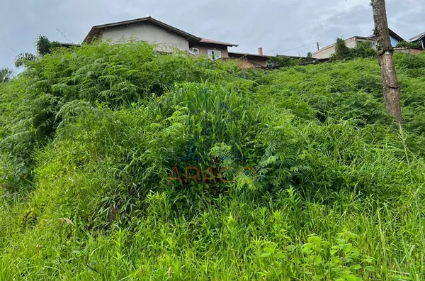 Terreno Amplo,  Brasília, São Bento Do Sul