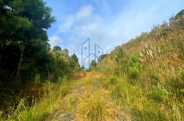 Terreno para venda,  Boehmerwald, São Bento Do Sul