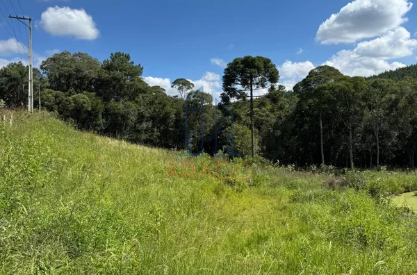Chácara para venda,  - Palmitos, Agudos do Sul