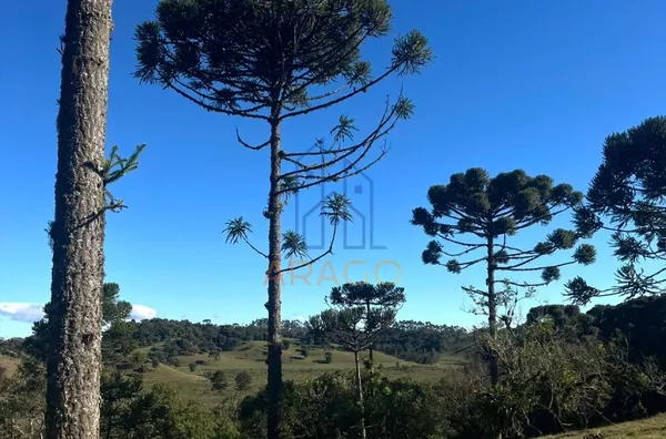 Terreno para venda,  Rio Vermelho Estação, São Bento Do Sul