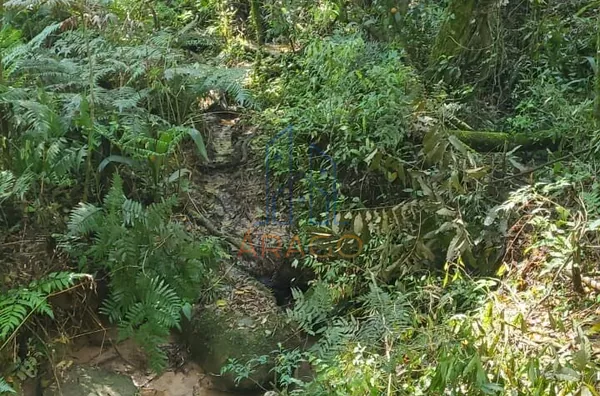 Terreno para venda,  Trigolândia, Piên