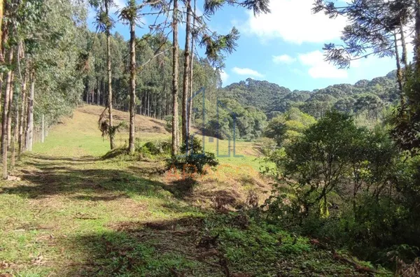 Terreno para venda,  25 De Julho, São Bento Do Sul