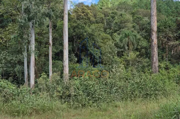 Terreno para venda,  Rio Natal, São Bento Do Sul