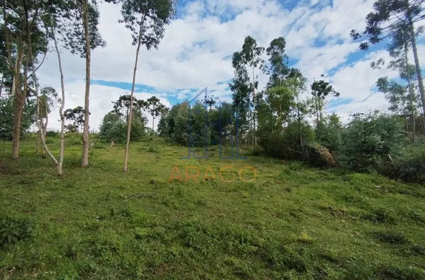 Terreno para venda,  Lençol, São Bento Do Sul