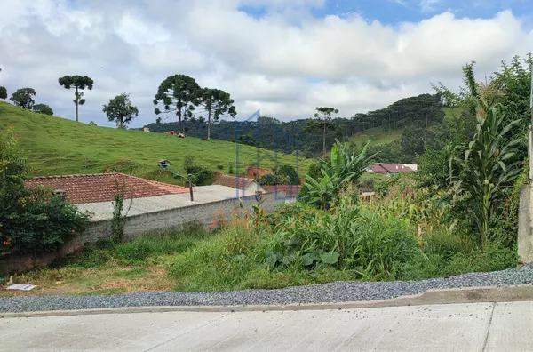 Terreno para venda,  Bairro Serra Alta, São Bento Do Sul