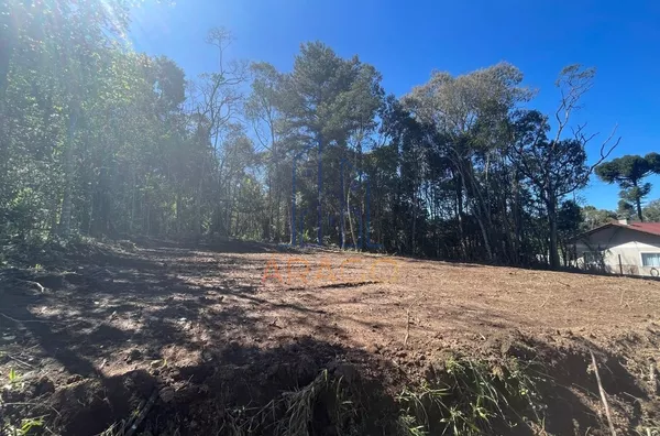 Terreno para ,  Dona Francisca, São Bento Do Sul