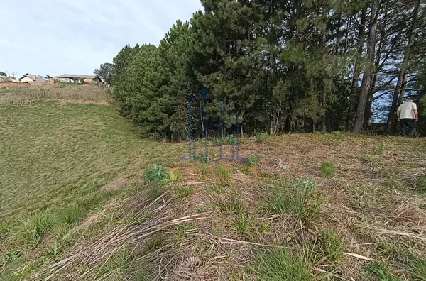 Terreno para venda,  Serra Alta, São Bento Do Sul