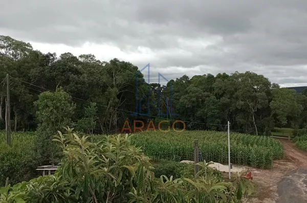 Chácara para venda, Rio Negro - PR