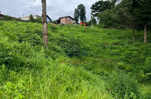 Terreno Amplo,  Brasília, São Bento Do Sul