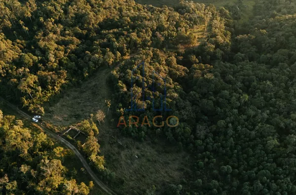 Terreno para venda,  Serra Alta, São Bento Do Sul