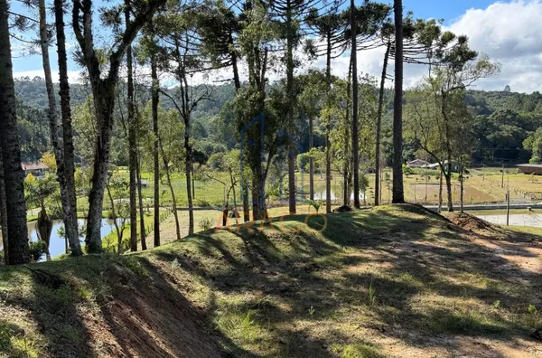Chácara para venda,  Trigolândia, São Bento Do Sul
