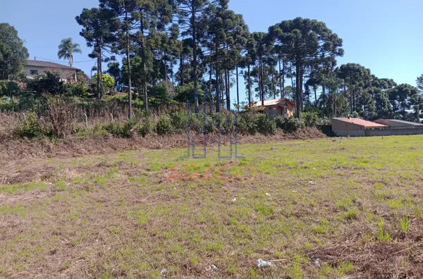 Terreno para ,  Bateias De Baixo, Campo Alegre