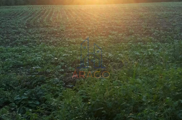 Terreno para venda, 2 quarto(s),  Estrada Nova, Monte Castelo