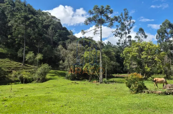 Chácara para venda,  Alegre, Rio Negrinho