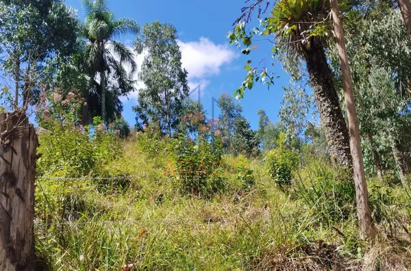Terreno EXCELENTE PARA CHÁCARA - venda,  Serra Alta, São Bento Do Sul