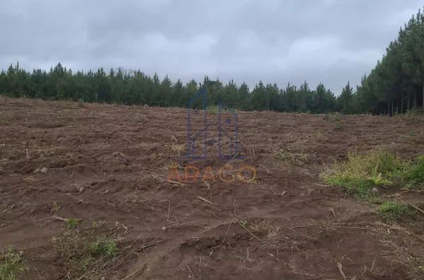 Terreno para venda,  Ponte Alta, Piên