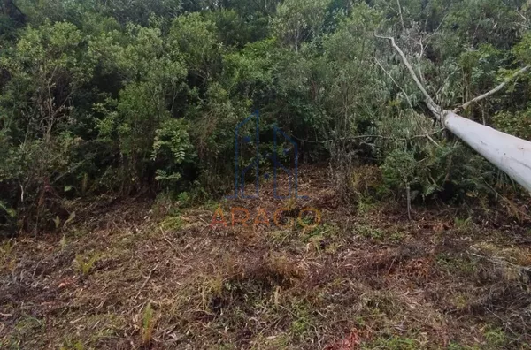 Terreno para Venda,  Serra Alta, São Bento Do Sul