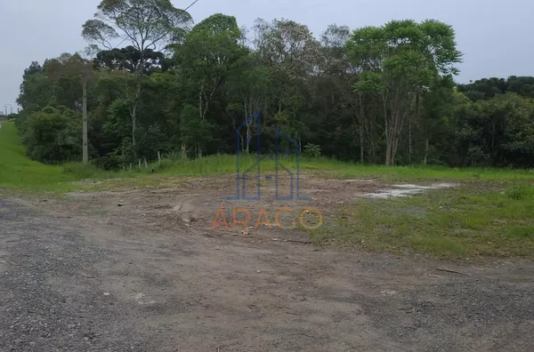 Terreno para venda,  Trigolândia, Piên